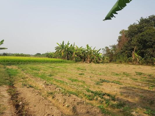 Residential Land/Plot for Sale in Ujaan Nagar, Action Area 2, Kolkata